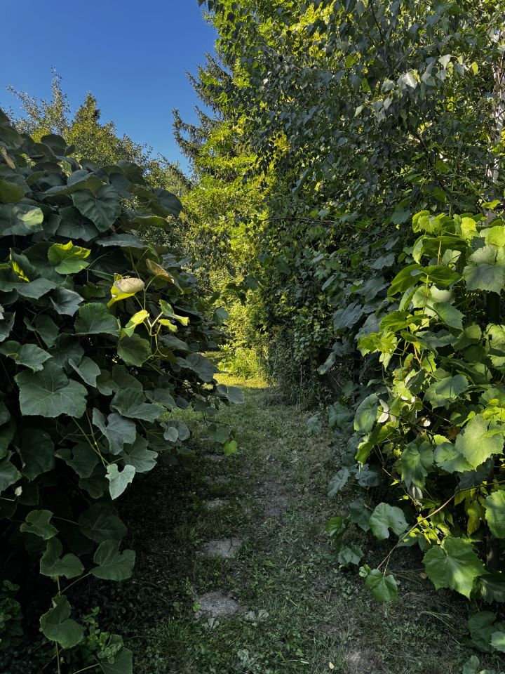 Działka rod Warszawa Wilanów, ul. Łucznicza. Zdjęcie 11