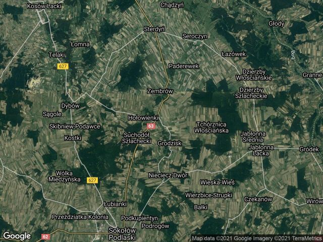 Działka leśna Sabnie. Zdjęcie 1