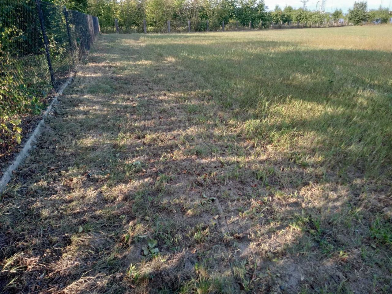 Działka budowlana Świnice Warckie, ul. Dworcowa. Zdjęcie 2