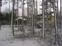 Działka leśna Duninów Duży. Zdjęcie 1