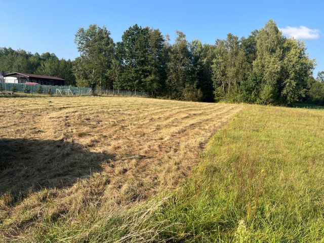 Działka rolna Czarny Las. Zdjęcie 1