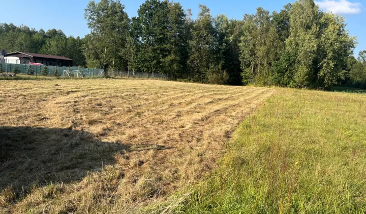 Działka rolna Czarny Las