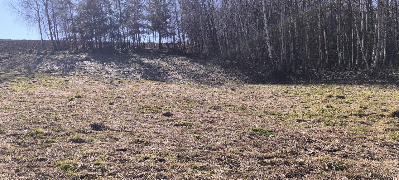 Działka rolno-budowlana Błażowa. Zdjęcie 8