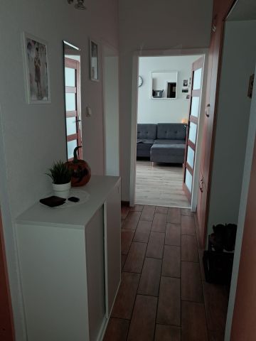 Mieszkanie 2-pokojowe Kalisz, ul. Adama Asnyka. Zdjęcie 12