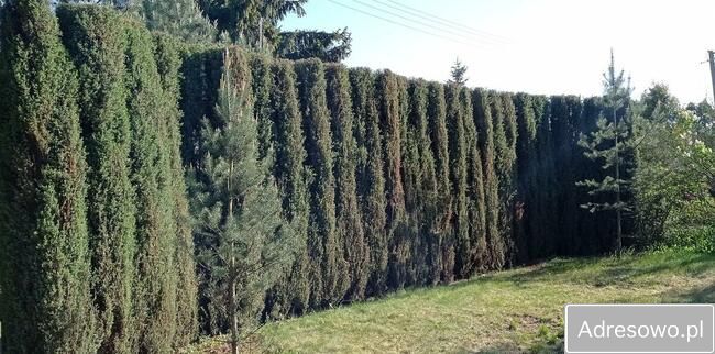 Działka rod Sierosław. Zdjęcie 7