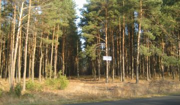Działka budowlana Przybynów, ul. Ostrowska