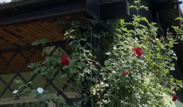 Działka rekreacyjna Poznań Ogrody, ul. Złotowska