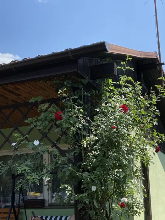 Działka rod Poznań Ławica, ul. Złotowska. Zdjęcie 3