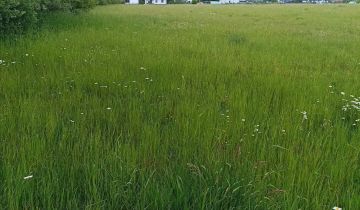 Działka rolno-budowlana Zabrodzie