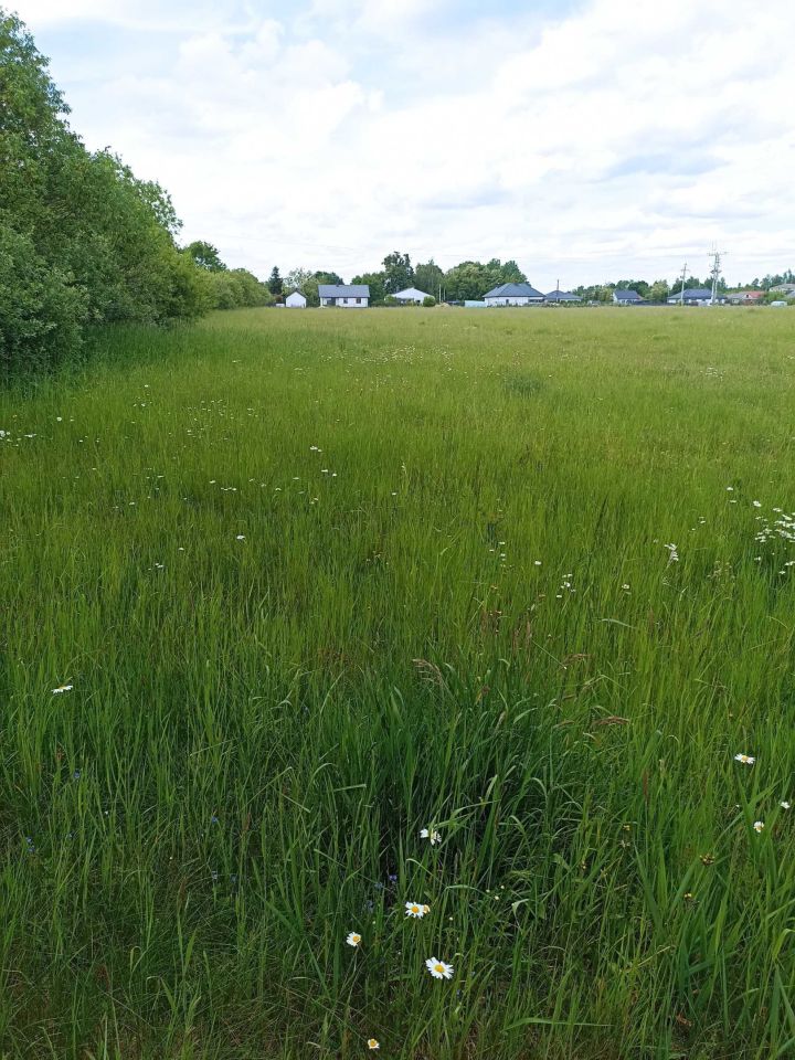 Działka rolno-budowlana Zabrodzie. Zdjęcie 2