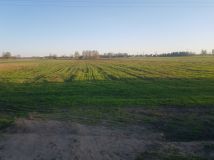 Działka budowlana Mochnate. Zdjęcie 3