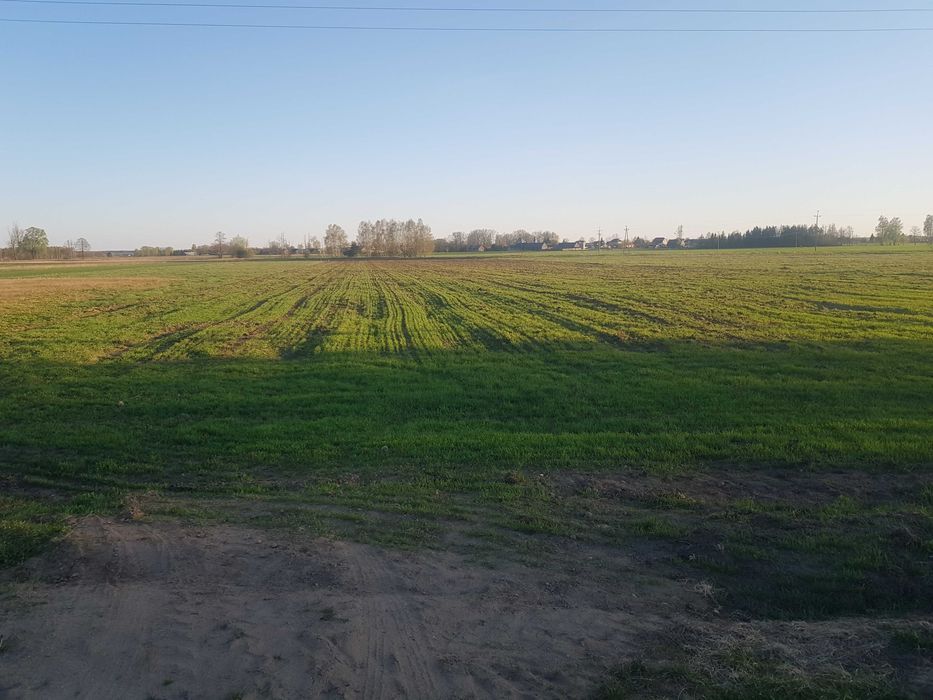 Działka budowlana Mochnate. Zdjęcie 4