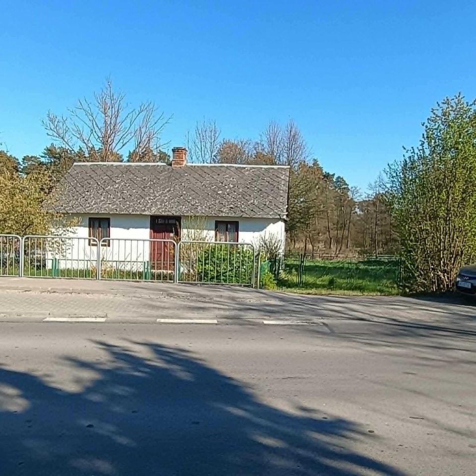 siedlisko Kozieniec. Zdjęcie 5