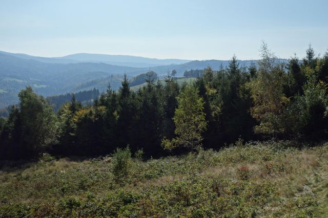 Działka inwestycyjna Ustroń Dobka, ul. Orłowa. Zdjęcie 1