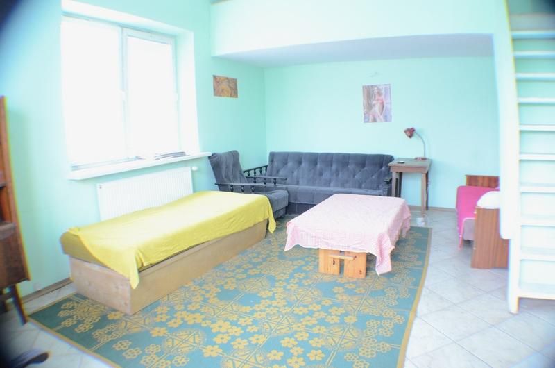 Nieruchomość komercyjna Wiązowna, ul. Boryszewska. Zdjęcie 7