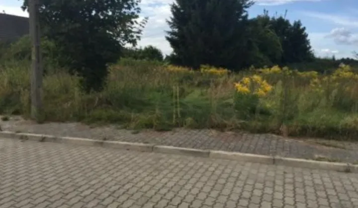 Działka budowlana Dębno, ul. Juranda