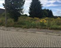 Działka budowlana Dębno, ul. Juranda