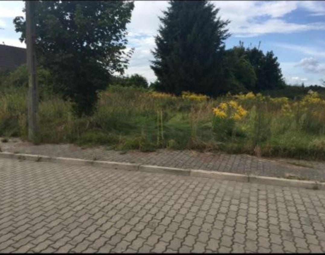 Działka budowlana Dębno, ul. Juranda