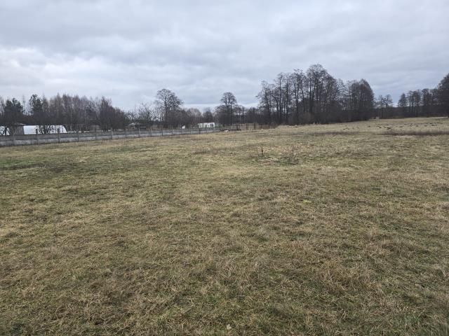 Działka budowlana Helenów, ul. Boryny. Zdjęcie 6