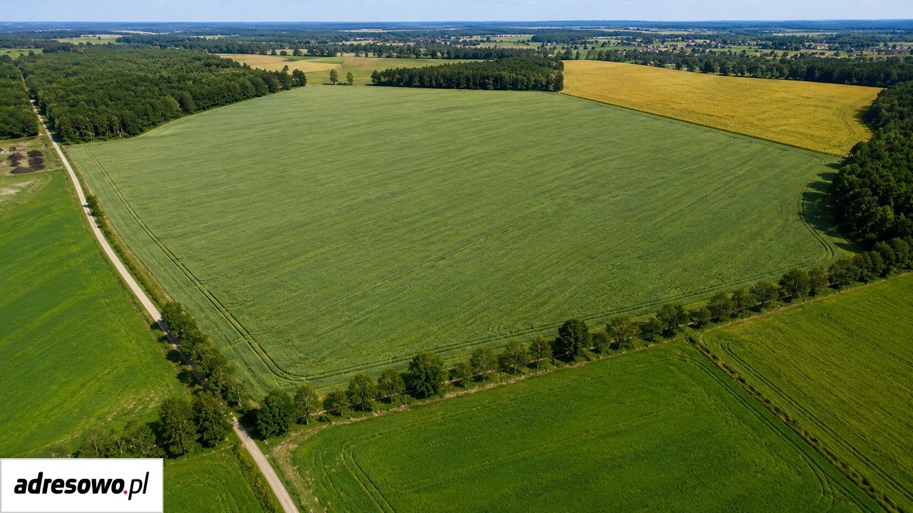 Działka rolna Koźla. Zdjęcie 4