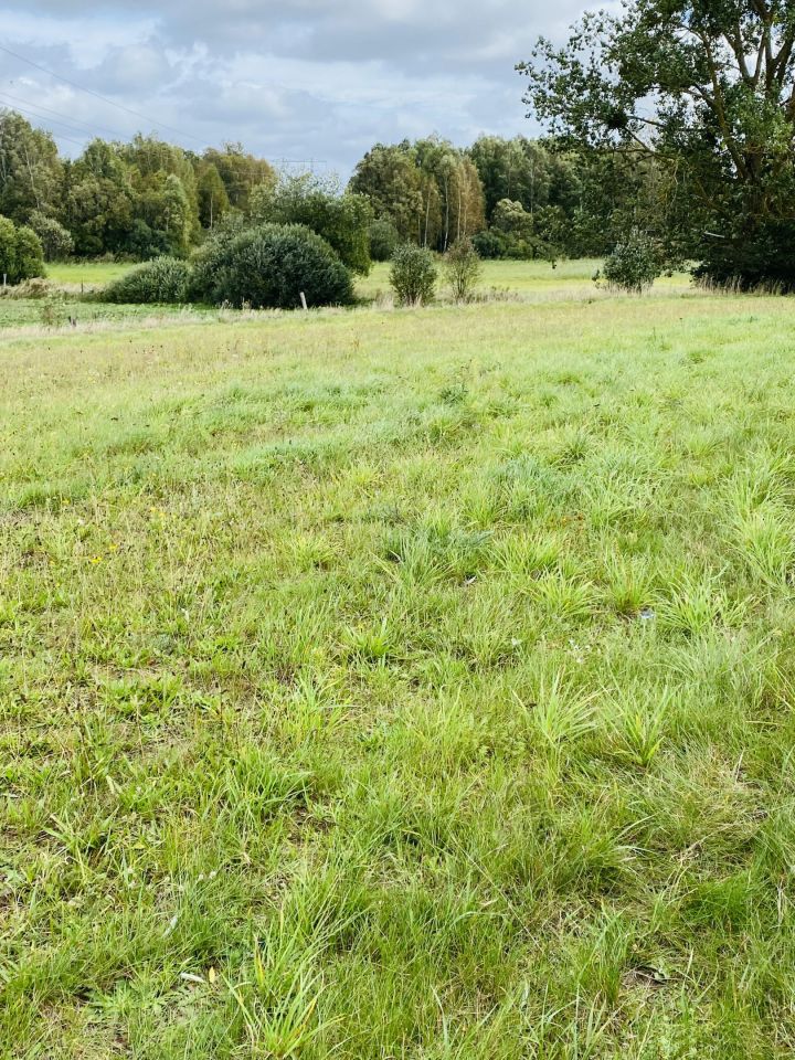 Działka rolna Dalewo. Zdjęcie 5