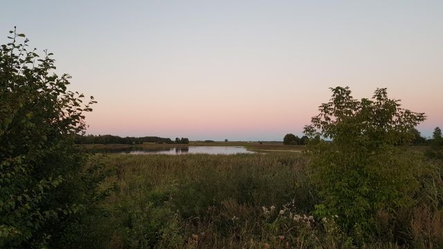 Działka rolna Tajno Podjeziorne. Zdjęcie 1
