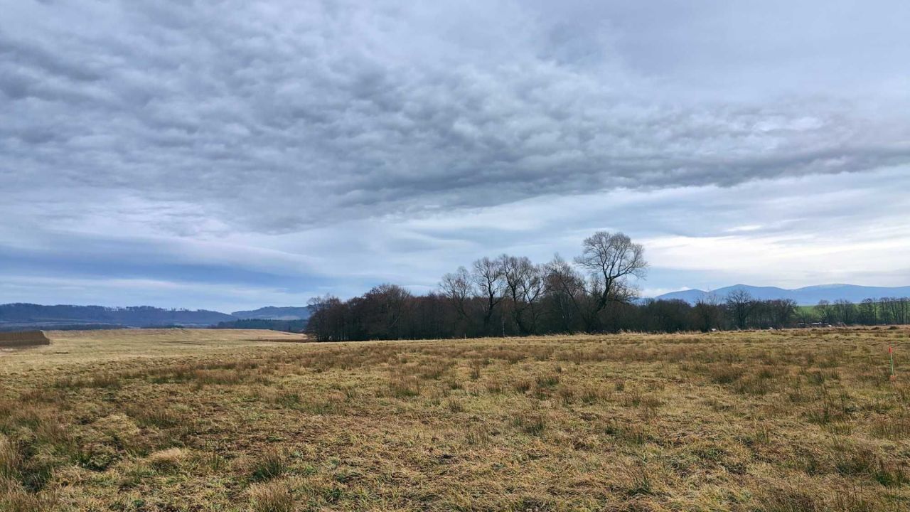 Działka budowlana Gorzanów. Zdjęcie 3