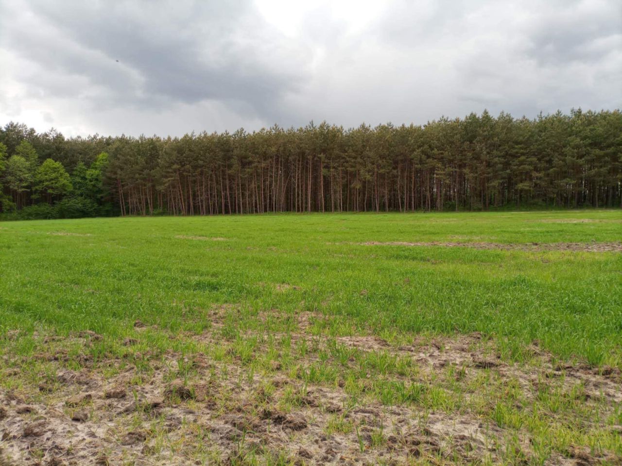 Działka budowlana Nowa Jastrząbka. Zdjęcie 2