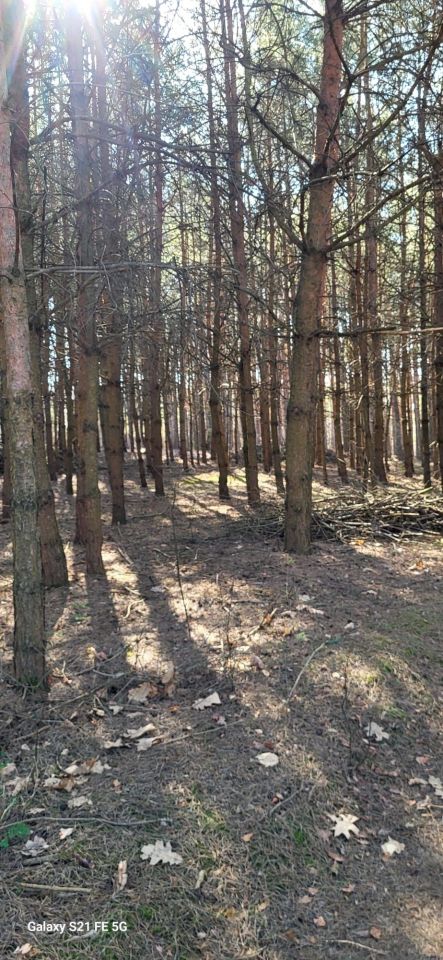 Działka Ulaski. Zdjęcie 5