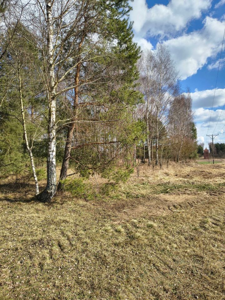 Działka rolna Derkacze. Zdjęcie 8