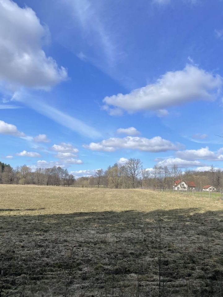 Działka budowlana Kabikiejmy Dolne. Zdjęcie 2