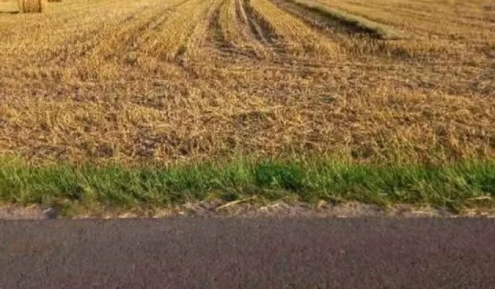 Działka budowlana Wola Droszewska
