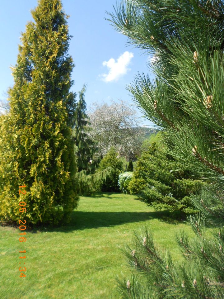 dom wolnostojący, 9 pokoi Ścinawka Górna. Zdjęcie 8