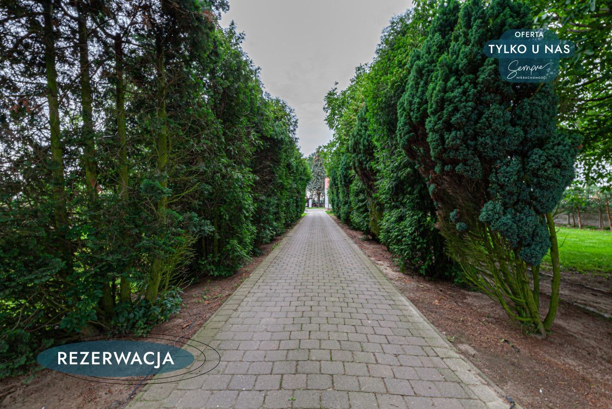 dom wolnostojący, 4 pokoje Sędzice. Zdjęcie 8