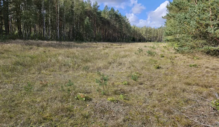 Działka rolno-budowlana Wojtal