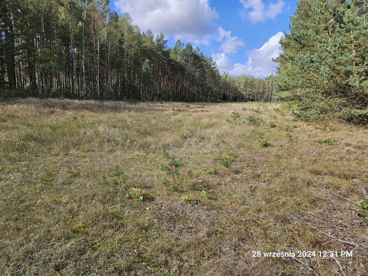 Działka rolno-budowlana Wojtal