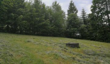 Działka budowlana Pewel Wielka