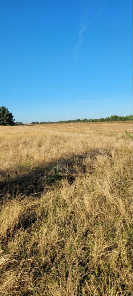 Działka budowlana Ostrowy. Zdjęcie 8