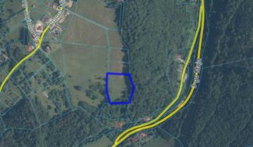 Działka rolna Walim, ul. Adama Mickiewicza