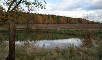 Działka rolna Pieszkowice