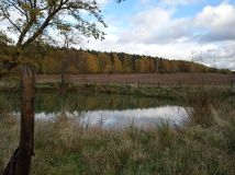 Działka rolna Pieszkowice. Zdjęcie 1