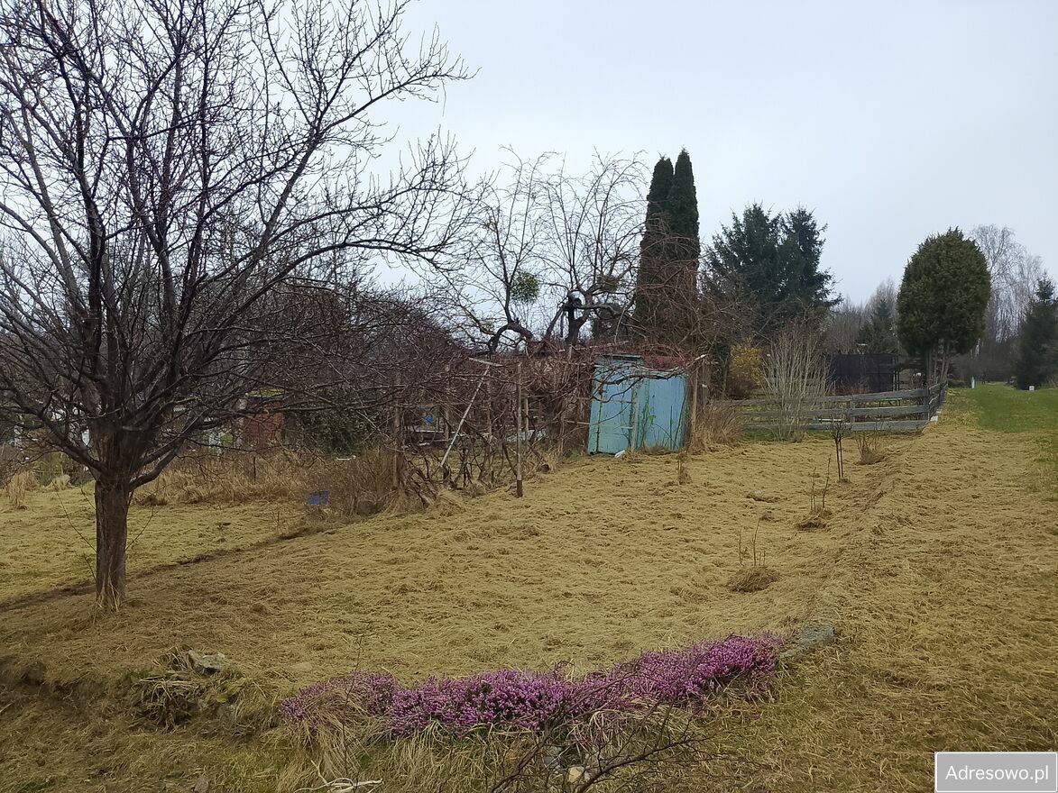 Działka rod Elbląg, ul. 13 Elbląskiego Pułku Przeciwlotniczego. Zdjęcie 1