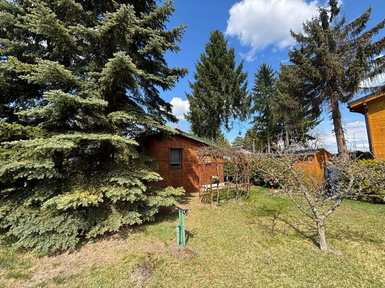 Działka rod Szczaki. Zdjęcie 3