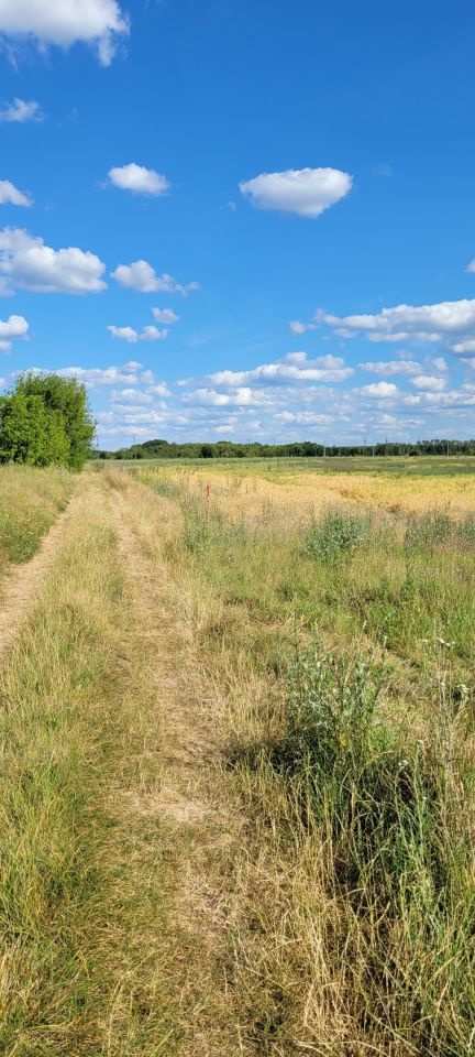 Działka rolno-budowlana Międzyrzecz Obrzyce. Zdjęcie 5