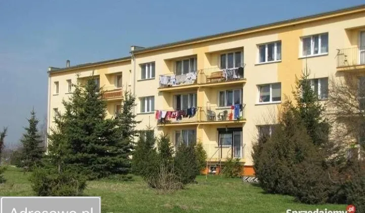 Mieszkanie 1-pokojowe Wojnowo