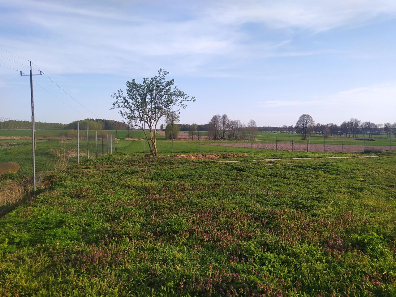 Działka inwestycyjna Posiadały. Zdjęcie 7