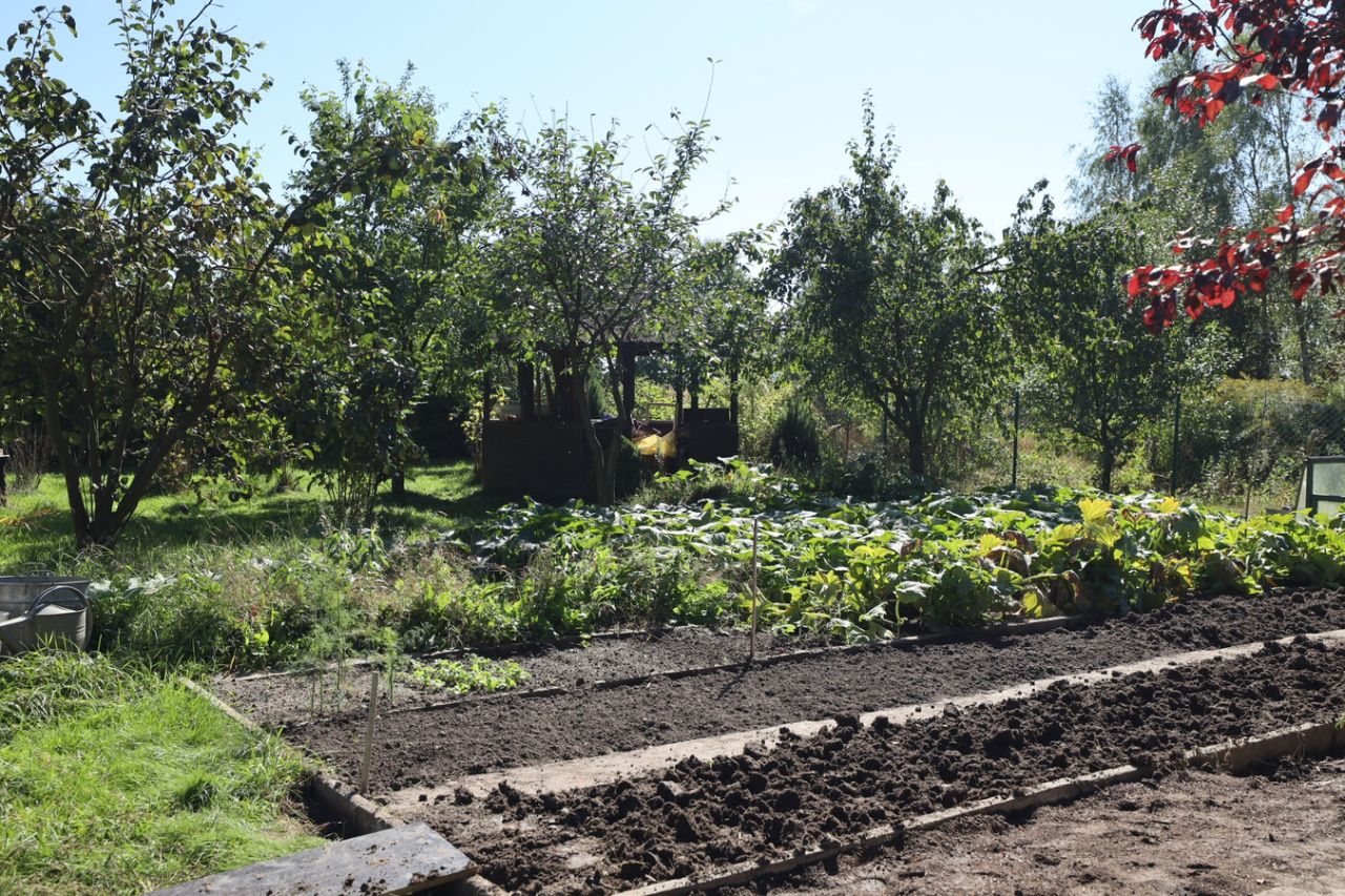 Działka budowlana Miedziana Góra. Zdjęcie 2