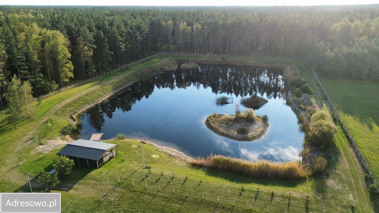 Działka budowlana Świętajno, ul. Polna. Zdjęcie 16