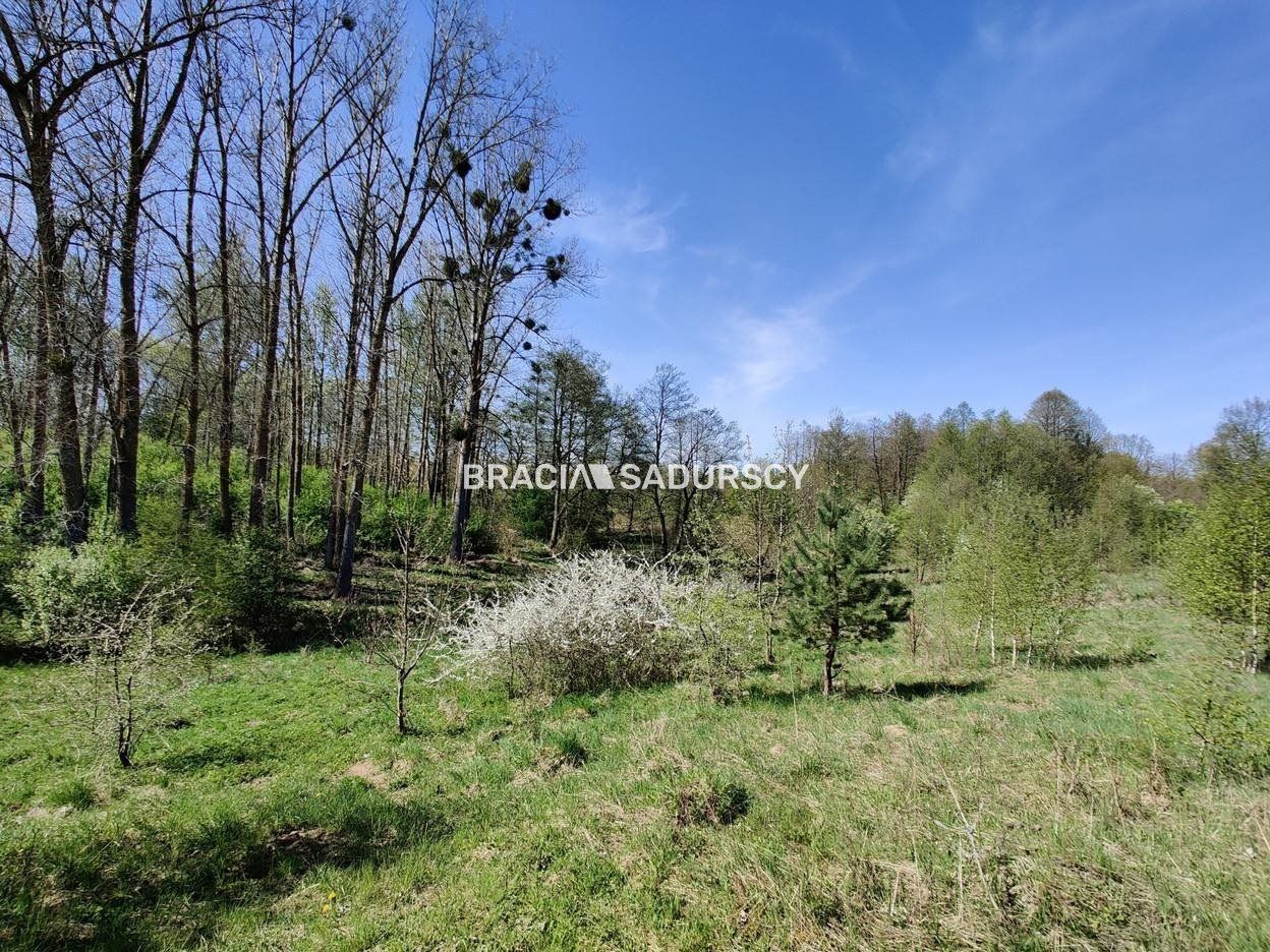 Działka rekreacyjna Łukta. Zdjęcie 5