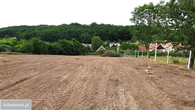Działka rolno-budowlana Stare Bogaczowice, ul. Główna. Zdjęcie 1